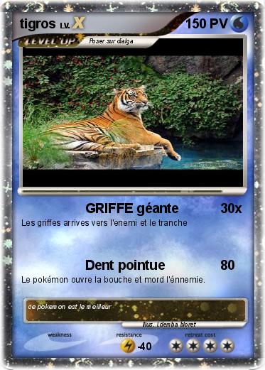 Pokemon tigros