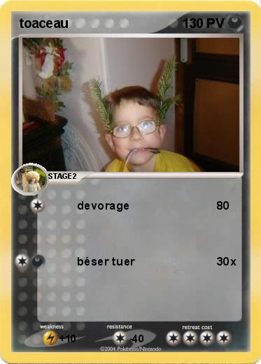 Pokemon toaceau