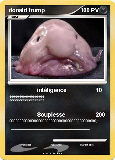 Pokemon donald trump