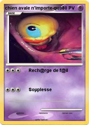 Pokemon chien avale n'importe-quoi