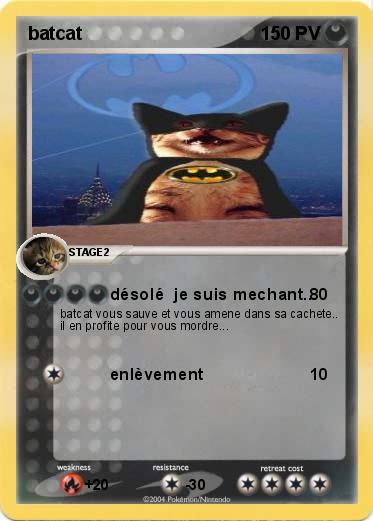 Pokemon batcat