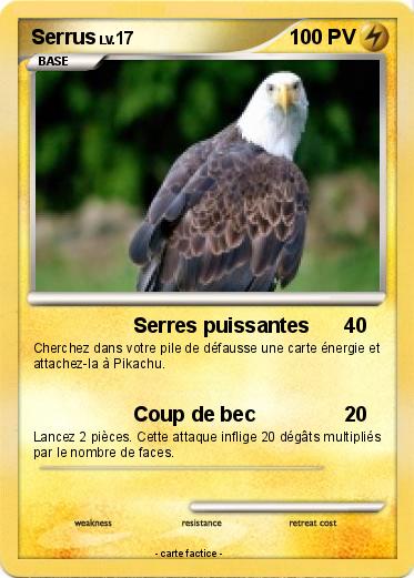 Pokemon Serrus