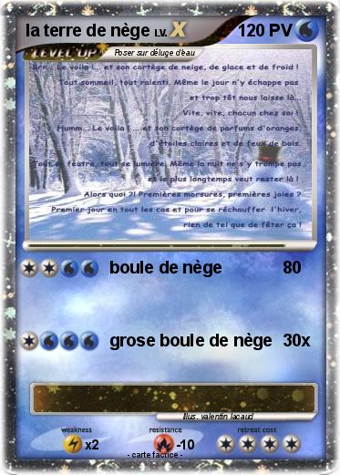 Pokemon la terre de nège