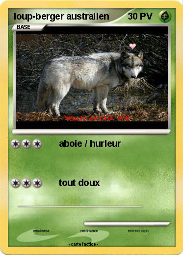 Pokemon loup-berger australien