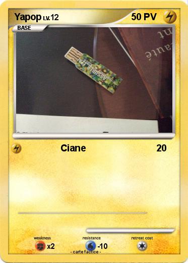 Pokemon Yapins