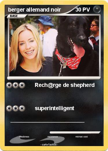 Pokemon berger allemand noir
