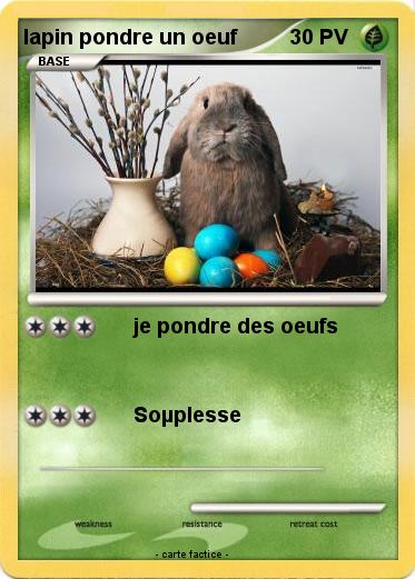 Pokemon lapin pondre un oeuf