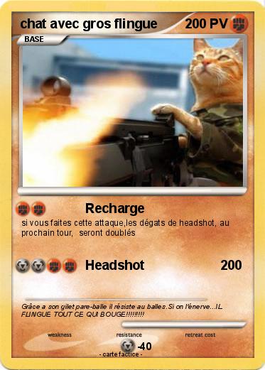 Pokemon chat avec gros flingue