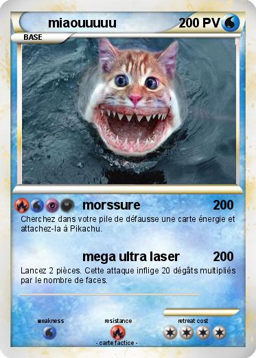 Pokemon miaouuuuu