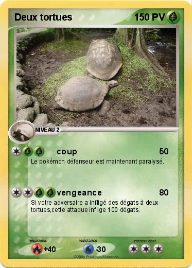 Pokemon Deux tortues