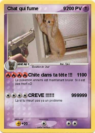Pokemon Chat qui fume                   9