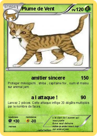 Pokemon Plume de Vent