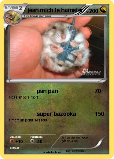 Pokemon jean mich le hamster