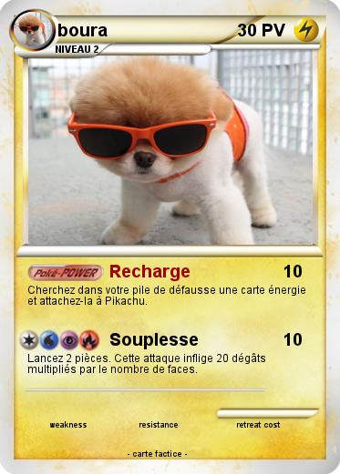 Pokemon boura