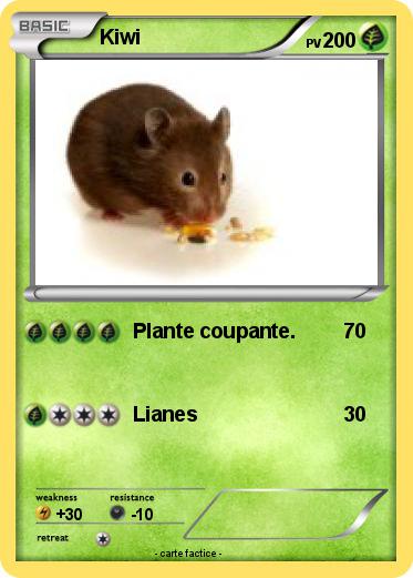 Pokemon Kiwi