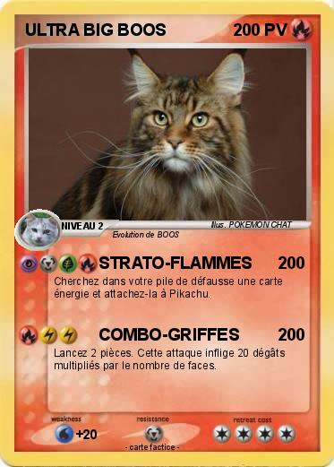 Pokemon ULTRA BIG BOOS