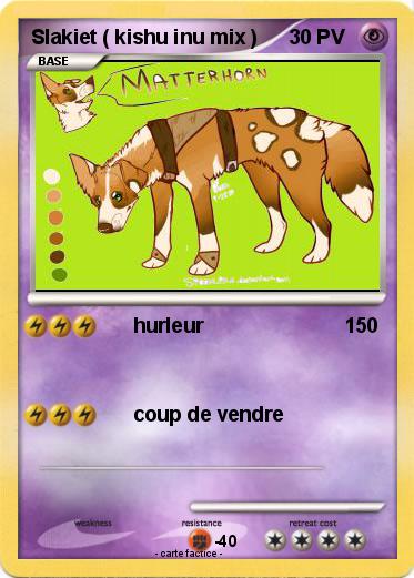 Pokemon Slakiet ( kishu inu mix )
