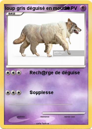 Pokemon loup gris déguisé en mouton