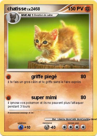 Pokemon chatisse