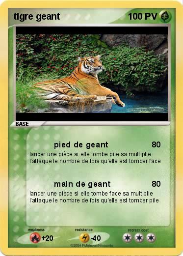 Pokemon tigre geant