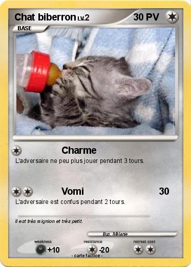 Pokemon Chat biberron
