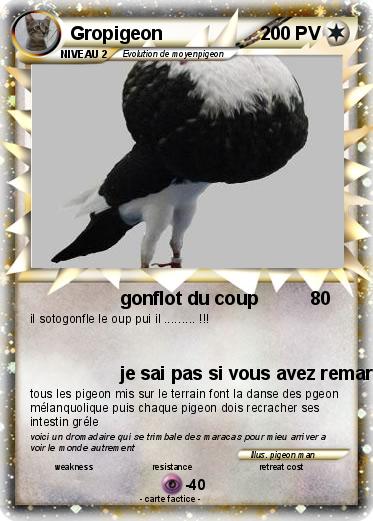 Pokemon Gropigeon