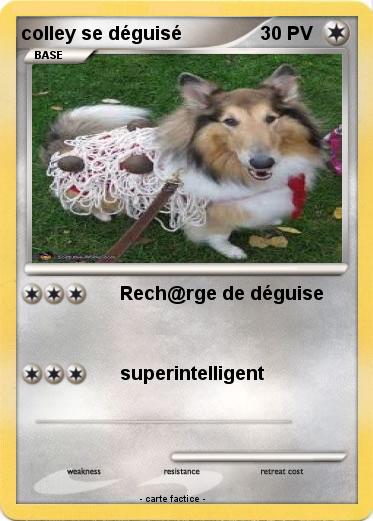 Pokemon colley se déguisé