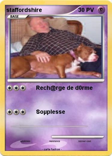 Pokemon staffordshire