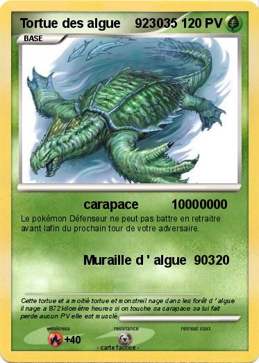 Pokemon Tortue des algue    923035