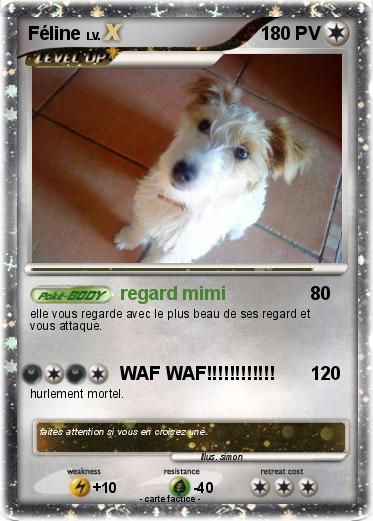 Pokemon Féline