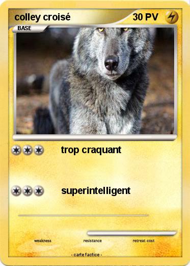 Pokemon colley croisé