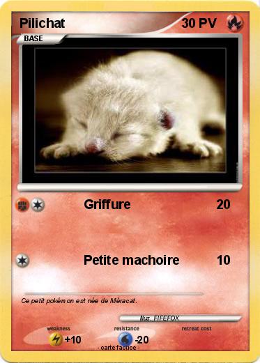 Pokemon Pilichat