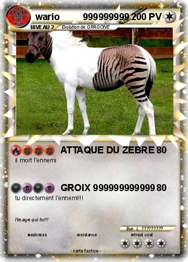 Pokemon wario         999999999