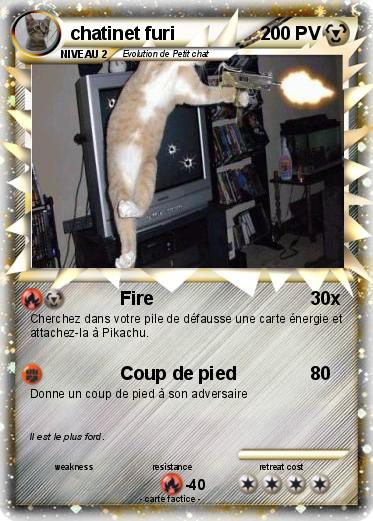 Pokemon chatinet furi