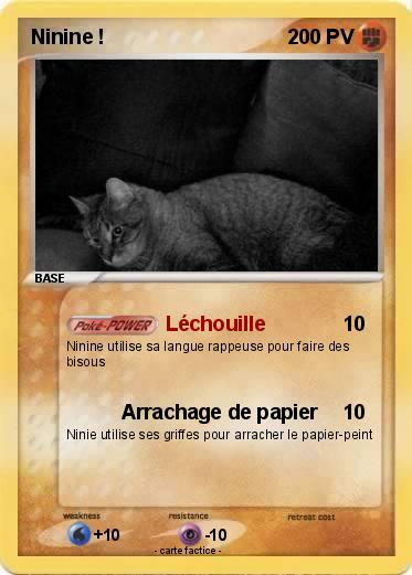 Pokemon Ninine !