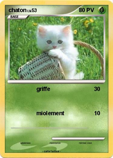 Pokemon chaton