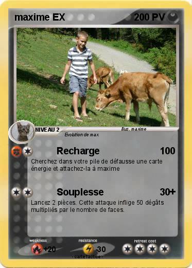 Pokemon maxime EX