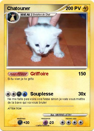 Pokemon Chatouner