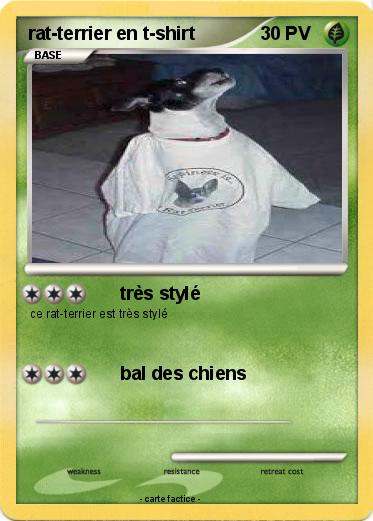 Pokemon rat-terrier en t-shirt