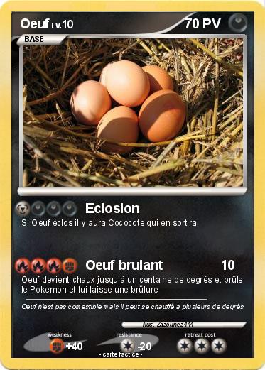 Pokemon Oeuf