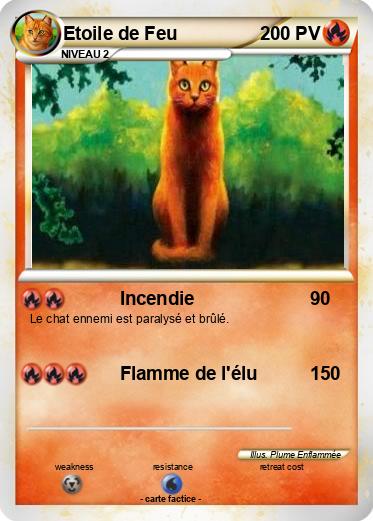 Pokemon Etoile de Feu