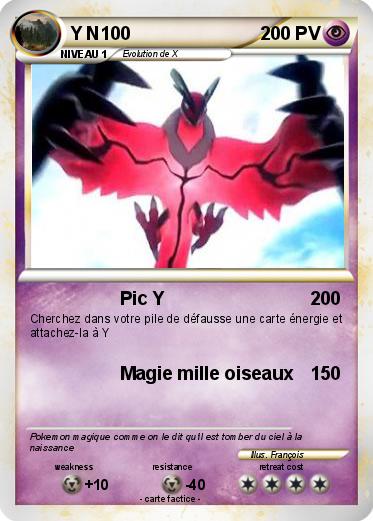 Pokemon Y N100