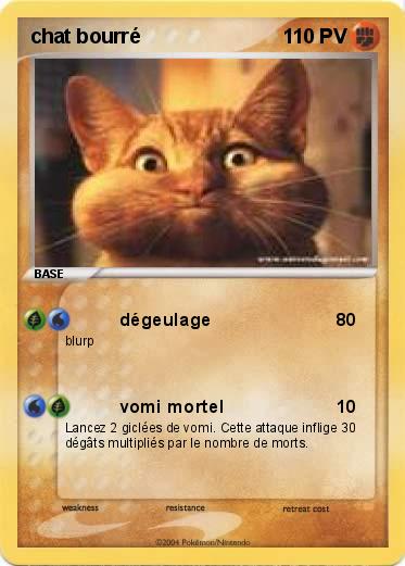 Pokemon Chat Bourre 1
