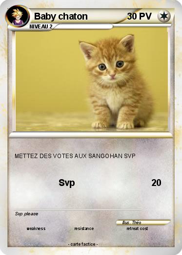 Pokemon Baby chaton