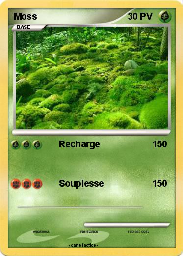 Pokemon Moss