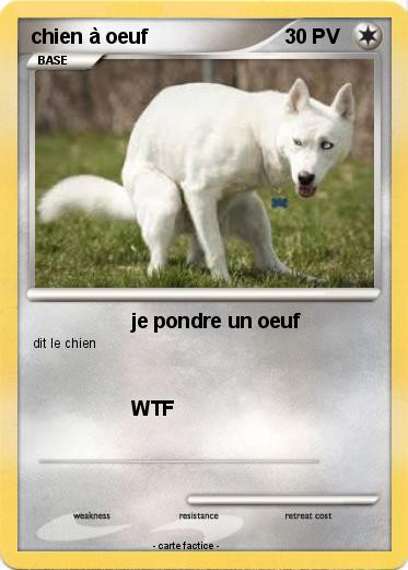 Pokemon chien à oeuf