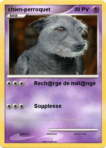 Pokemon chien-perroquet