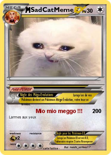Pokemon SadCatMeme