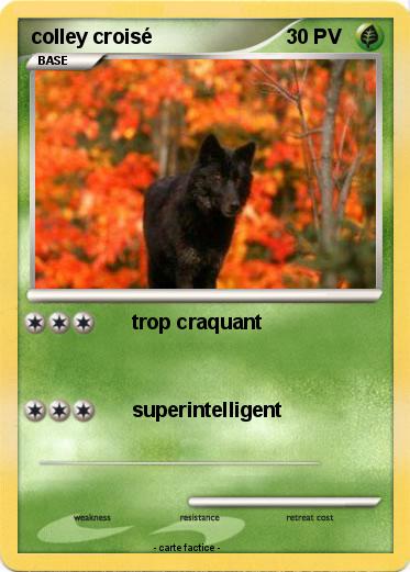 Pokemon colley croisé