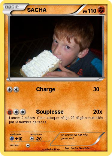 Pokemon SACHA